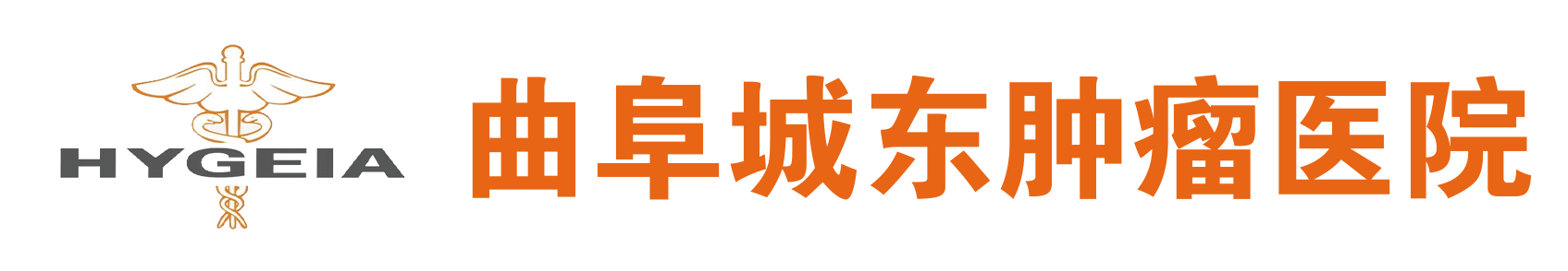 企业通用模版网站